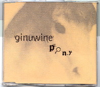 Ginuwine - Pony (The Remixes)