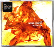 Divine Comedy - Love What You Do CD 2