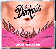 The Darkness - Growing On Me