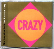 Fine Young Cannibals - She Drives Me Crazy - Remix