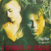 Praga Khan - A Spoonful Of Miracle