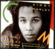 Ziggy Marley - Tumblin' Down