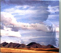 Garth Brooks - Wild Horses
