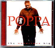Notorious BIG - Big Poppa REMIX