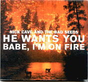 Nick Cave - He Wants You Babe / I'm On Fire