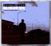 Counting Crows & Vanessa Carlton - Big Yellow Taxi CD2