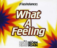 Bjorn Again - Flashdance What A Feeling