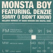 Monsta Boy Featuring Denzie - Sorry (I Didn't Know)