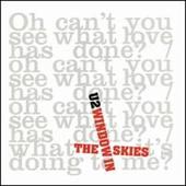 U2 - Window In The Skies DVD